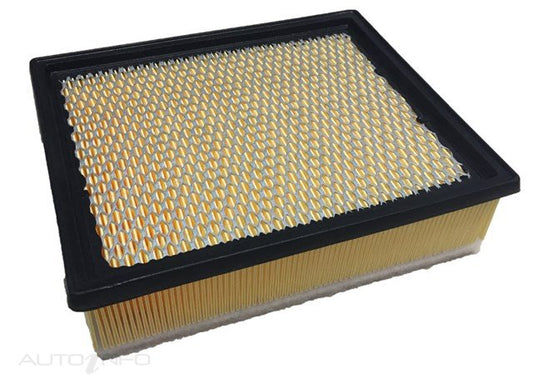 Wesfil WA5095 Air Filter