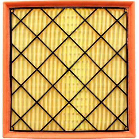 A1746 Ryco Air Filter